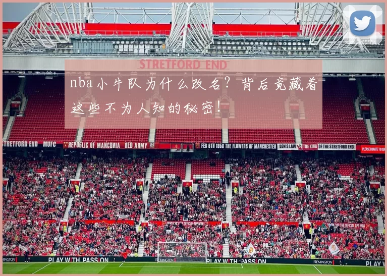 nba小牛队为什么改名?背后竟藏着这些不为人知的秘密!