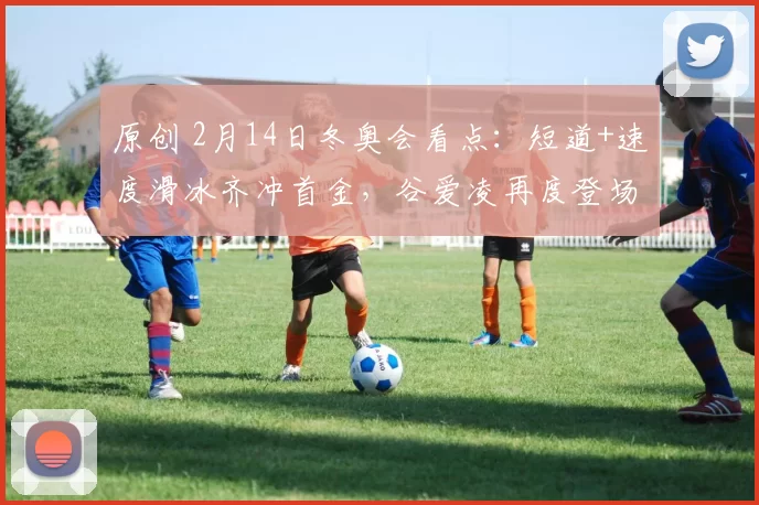 原创 2月14日冬奥会看点：短道+速度滑冰齐冲首金，谷爱凌再度登场