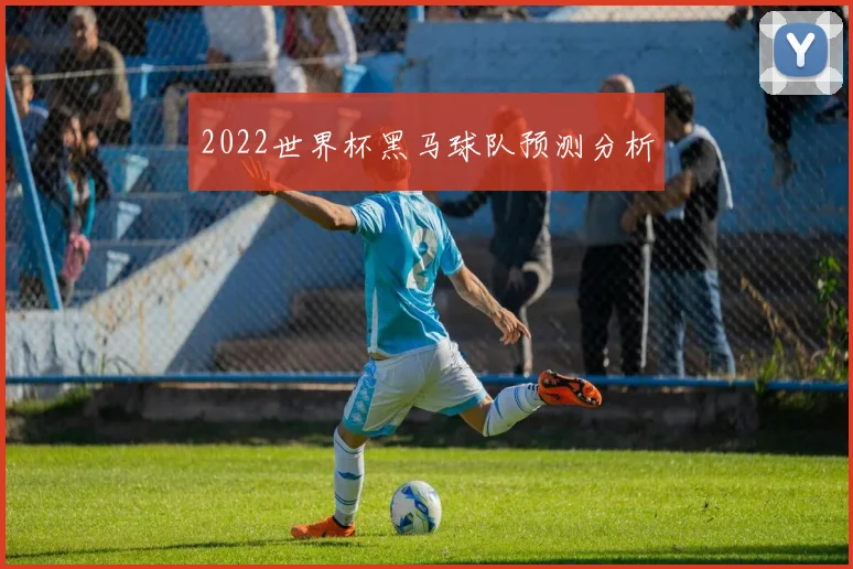 2022世界杯黑马球队预测分析