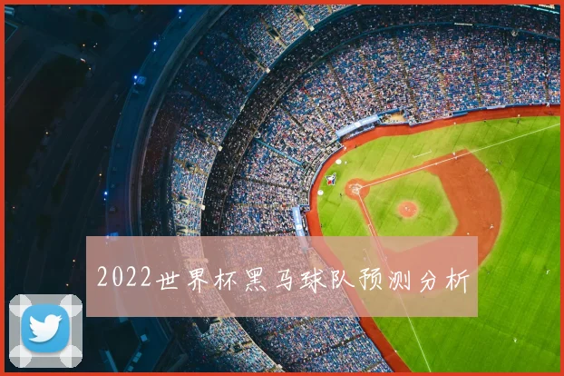 2022世界杯黑马球队预测分析